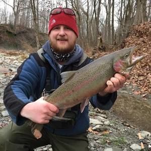 Meet your Posher, David